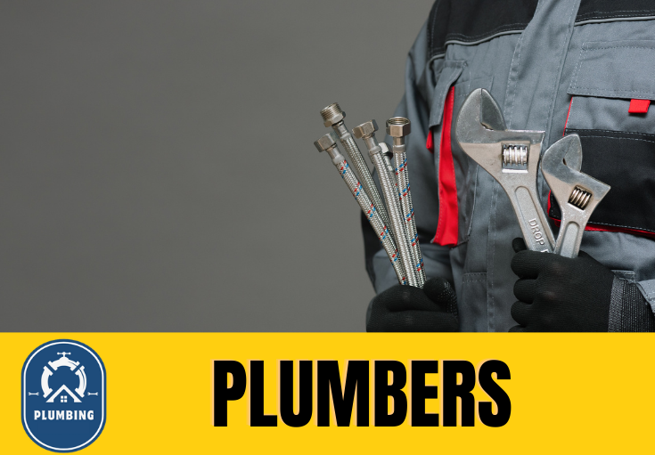 plumber Woodlands